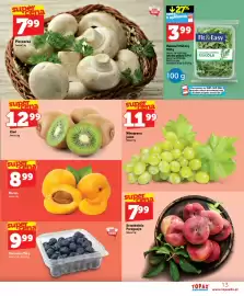 Topaz Express gazetka tydzień 28 Strona 13