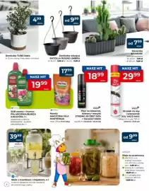 Mrówka gazetka Strona 2