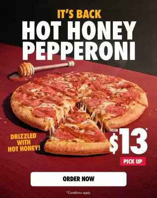 Domino's Pizza (valid until 6-08)