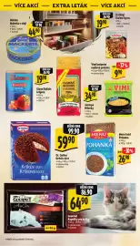 Albert leták | Supermarket Strana 40