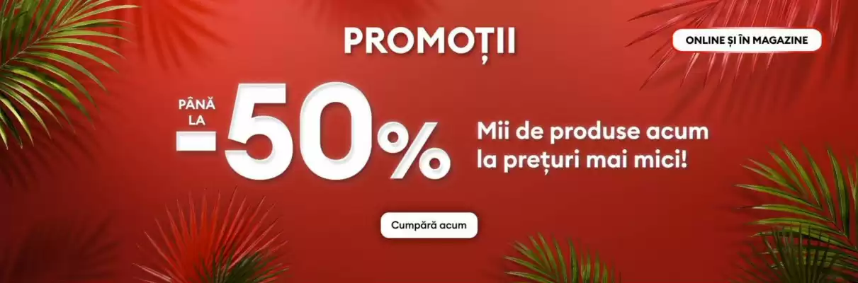 Sinsay (valid până la 12-07)