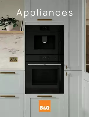 B&Q (valid until 1-01)