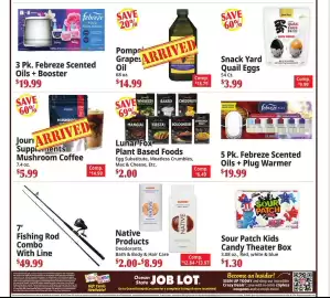 Ocean State Job Lot flyer week 27 Page 5