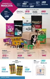 Catálogo Sam's Club Página 16