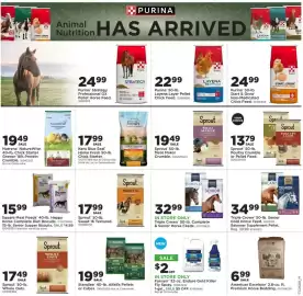 Mills Fleet Farm weekly ad week 28 Page 19