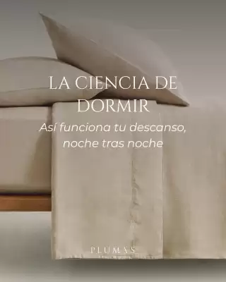 Plumas (válido hasta 19-07)