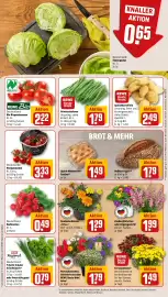 REWE PETZ Prospekt woche 28 Seite 11
