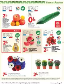 Catalogue Auchan Drive page 31