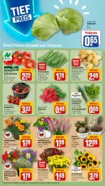 REWE City Prospekt woche 28 Seite 5
