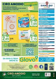 Volantino Ciro Amodio Pagina 12