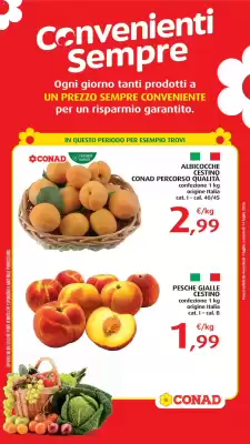 Conad (valido fino al 14-07)