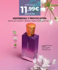 Catálogo Cristian Lay Página 63