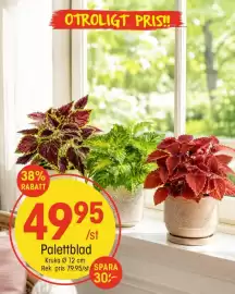 EKO reklamblad Sida 2