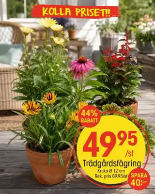 EKO (giltig till och med 20-07)