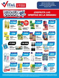 Catálogo Supermayorista Vital semana 28 Página 1