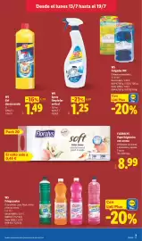 Catálogo Lidl semana 29 Página 25