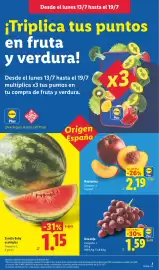 Catálogo Lidl semana 29 Página 3