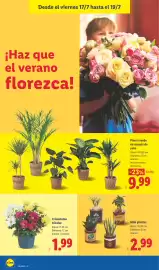 Catálogo Lidl semana 29 Página 58