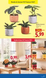 Catálogo Lidl semana 29 Página 59