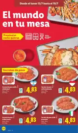 Catálogo Lidl semana 29 Página 8