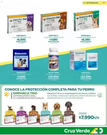 Catálogo Cruz Verde Página 19