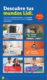 Catálogo Lidl | Bazar Página 2