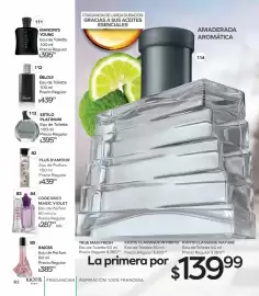 Catálogo Stanhome Página 88