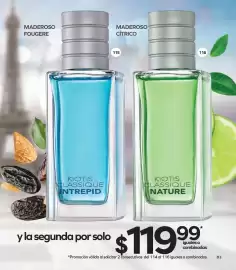 Catálogo Stanhome Página 89