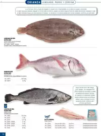 Catálogo Makro Página 10