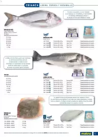 Catálogo Makro Página 9