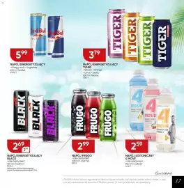 Chata Polska gazetka Strona 17