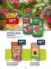 Mrówka gazetka Strona 5
