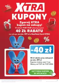Kaufland gazetka tydzień 28 Strona 21