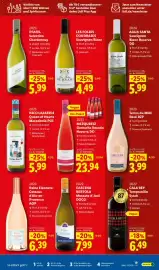 Lidl Prospekt Seite 19