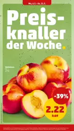PENNY Prospekt woche 28 Seite 6