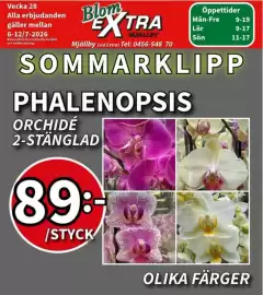 Extra Mjällby Stormarknad reklamblad vecka 28 Sida 10