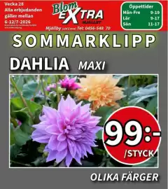 Extra Mjällby Stormarknad reklamblad vecka 28 Sida 9