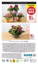 Catalogue Super U semaine 28 page 9