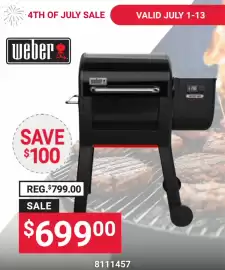 Ace Hardware flyer Page 129