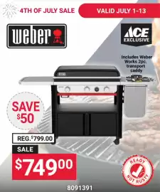 Ace Hardware flyer Page 134