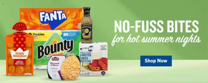 Food Lion weekly ad week 28 Page 11