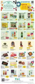 Fresh Thyme weekly ad week 28 Page 4