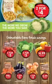 Spudshed catalogue week 28 Page 4