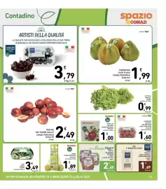 Volantino Spazio Conad Pagina 13