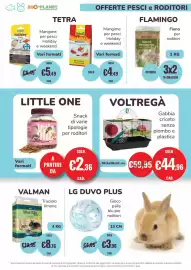 Volantino ZooPlanet Pagina 13
