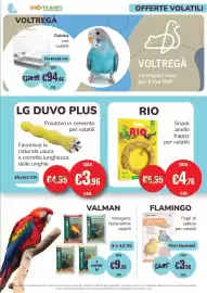 Volantino ZooPlanet Pagina 15