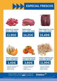 Folleto Dialsur Cash & Carry semana 28 Página 2