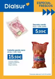 Folleto Dialsur Cash & Carry semana 28 Página 1
