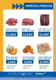 Folleto Dialsur Cash & Carry semana 28 Página 2