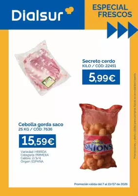 Folleto Dialsur Cash & Carry